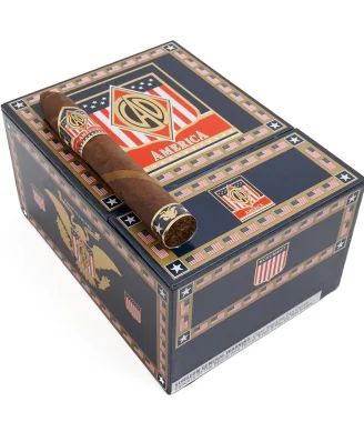 CAO America Monument